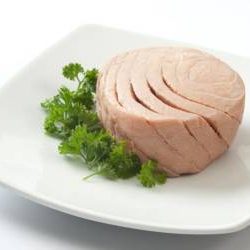 تشخیص-کنسرو-ماهی-سالم